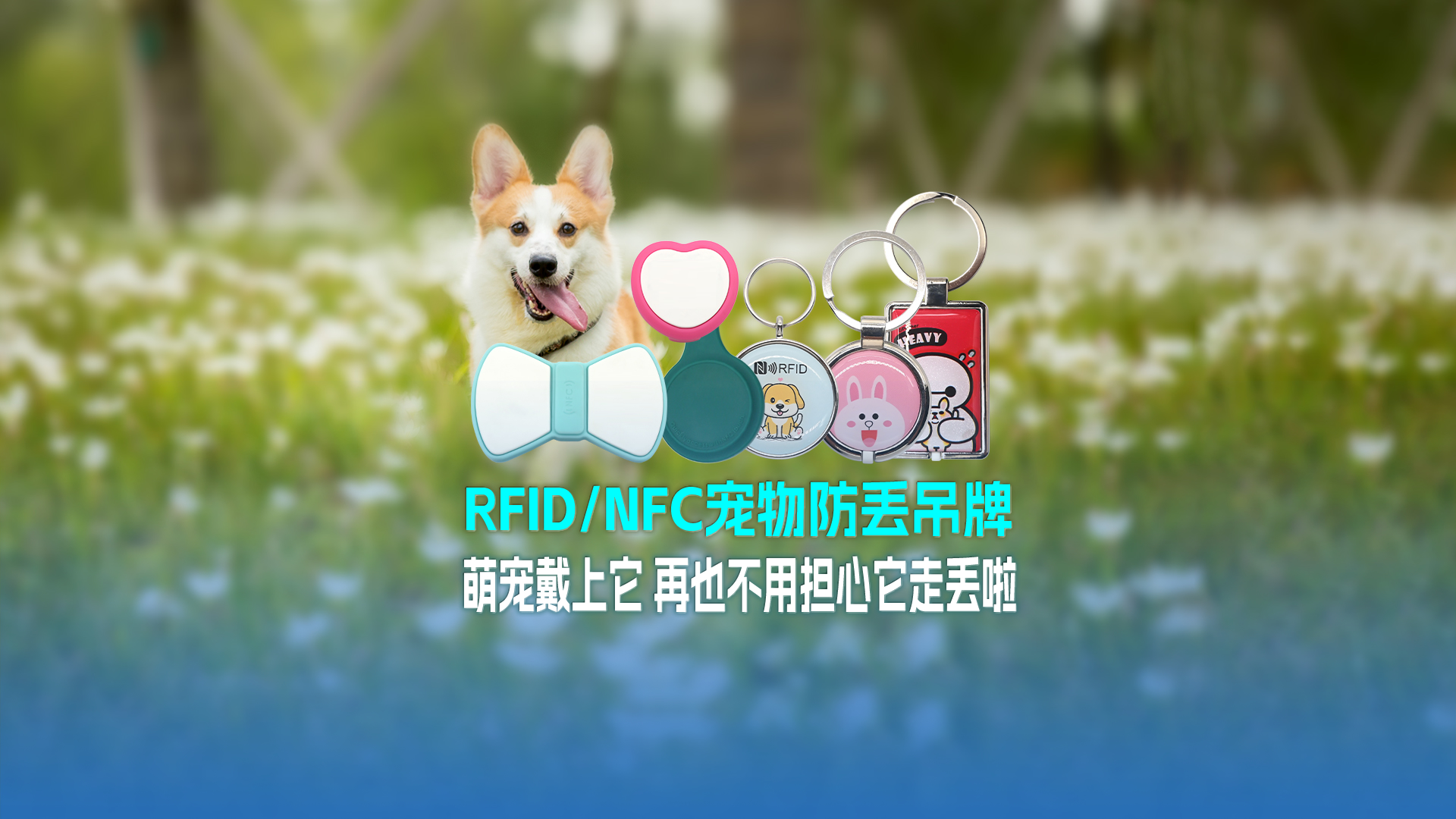 ca88官方唯一网站集团RFID宠物防丢吊牌：萌宠戴上它 再也不用不安它走丢啦